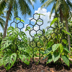 description_selected2