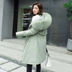 description_selected13