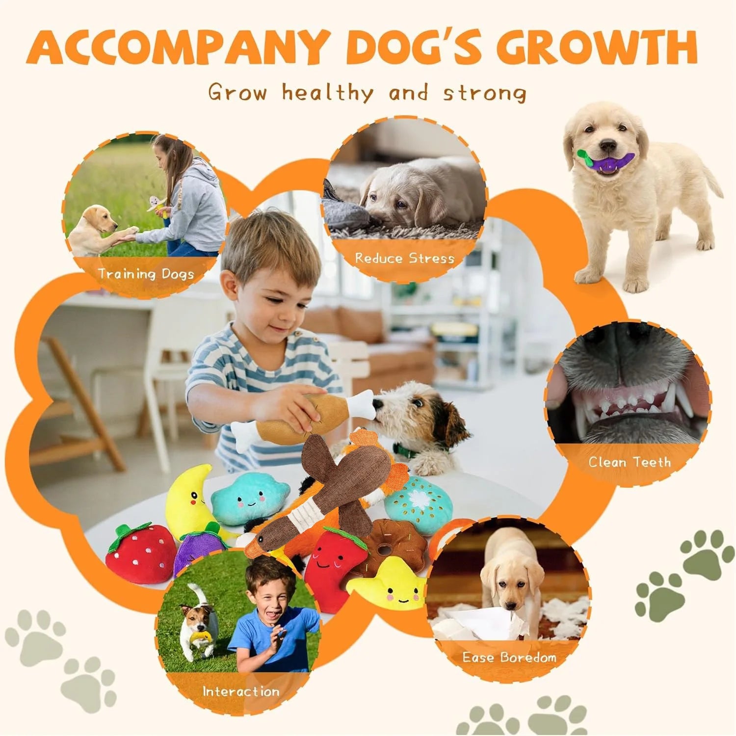 description_selected3