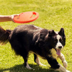 description_selected9