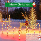 description_selected5