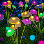 description_selected8