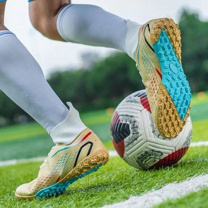 description_selected27