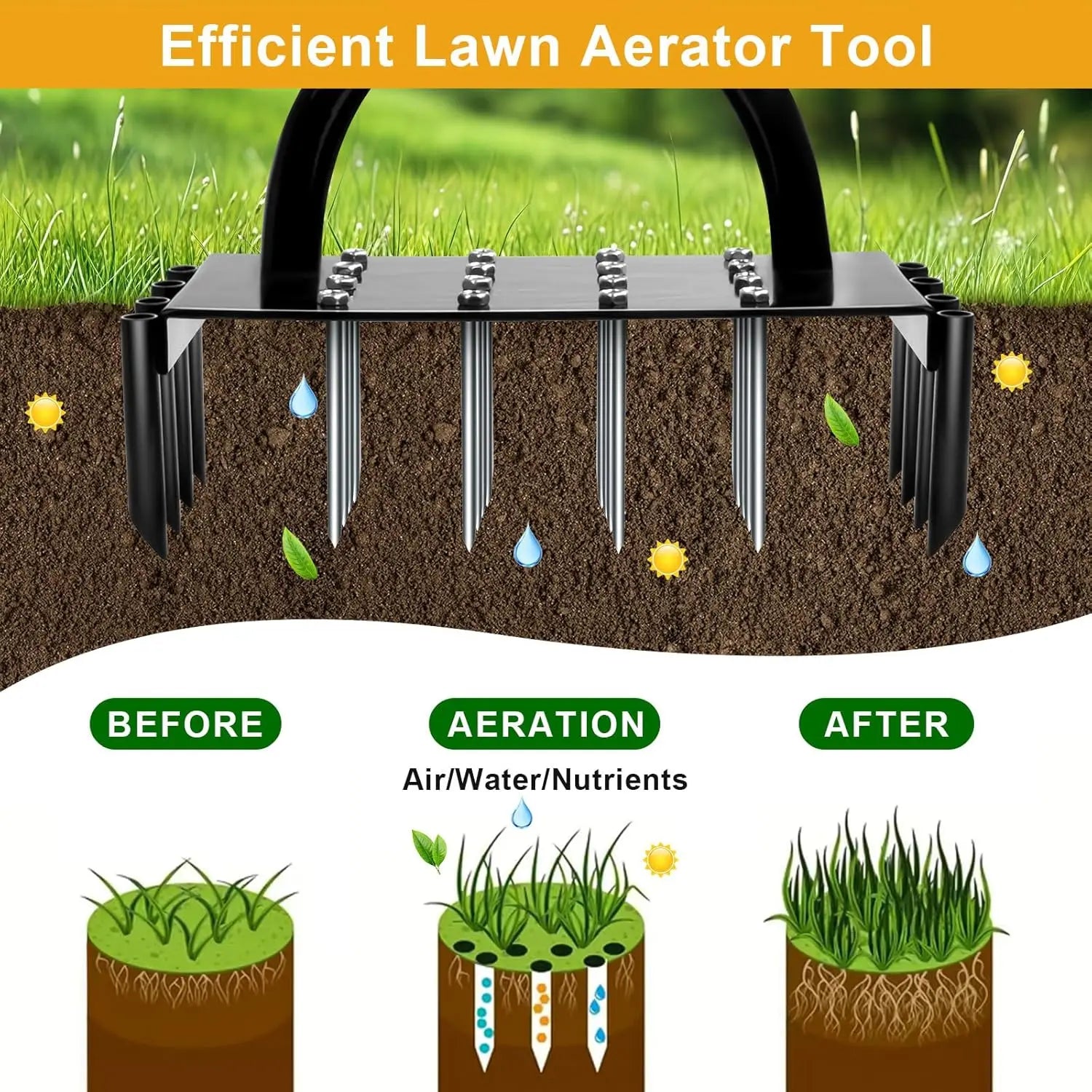 description_selected4