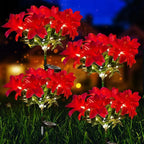 description_selected0