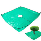 description_selected12
