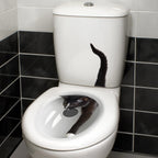 description_selected11