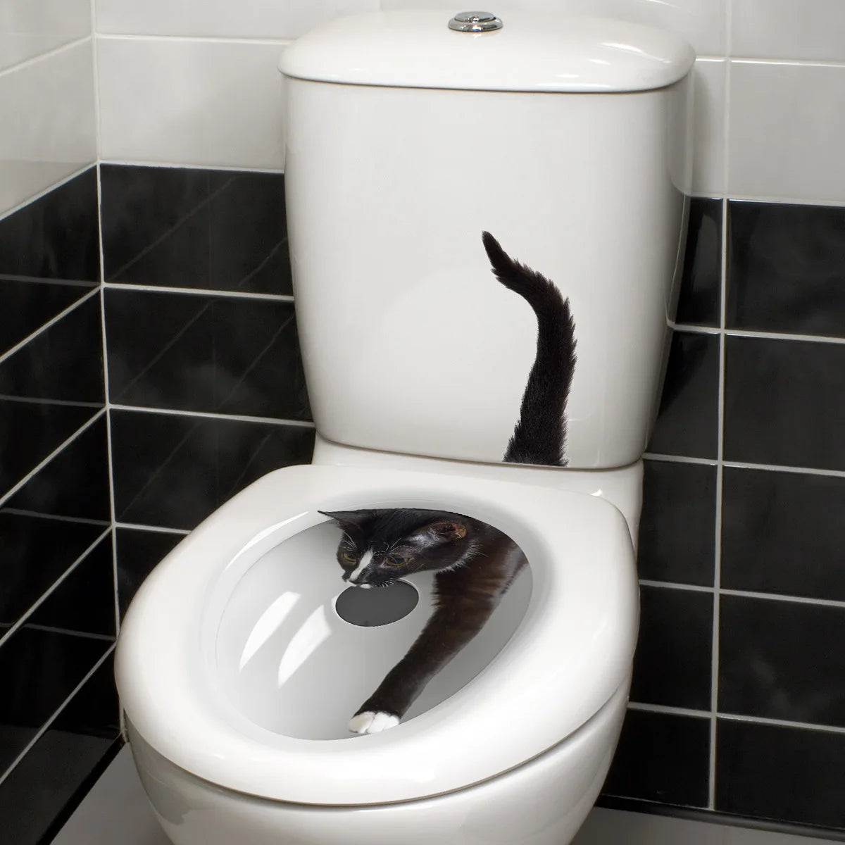 description_selected11