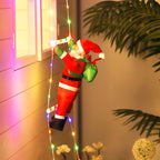 description_selected18