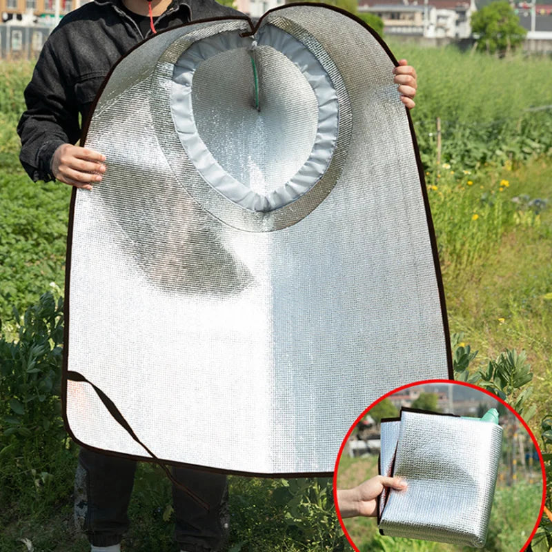 description_selected4