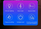 description_selected12