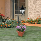 description_selected10