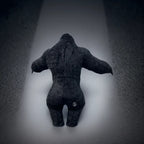 description_selected11