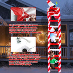 description_selected3