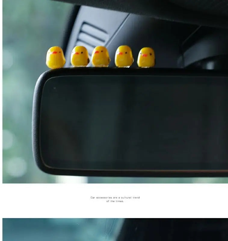 description_selected15