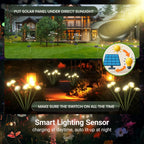 description_selected10