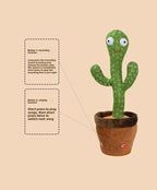 description_selected13