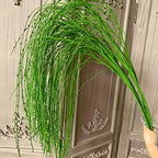 description_selected13