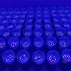 description_selected12
