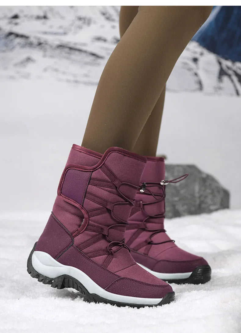 description_selected31