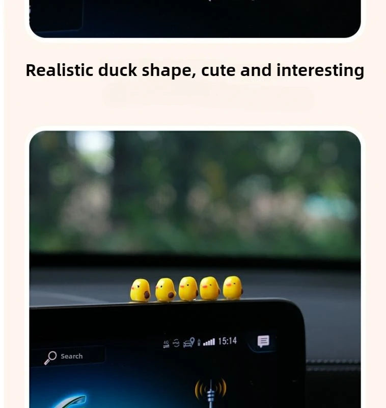 description_selected11