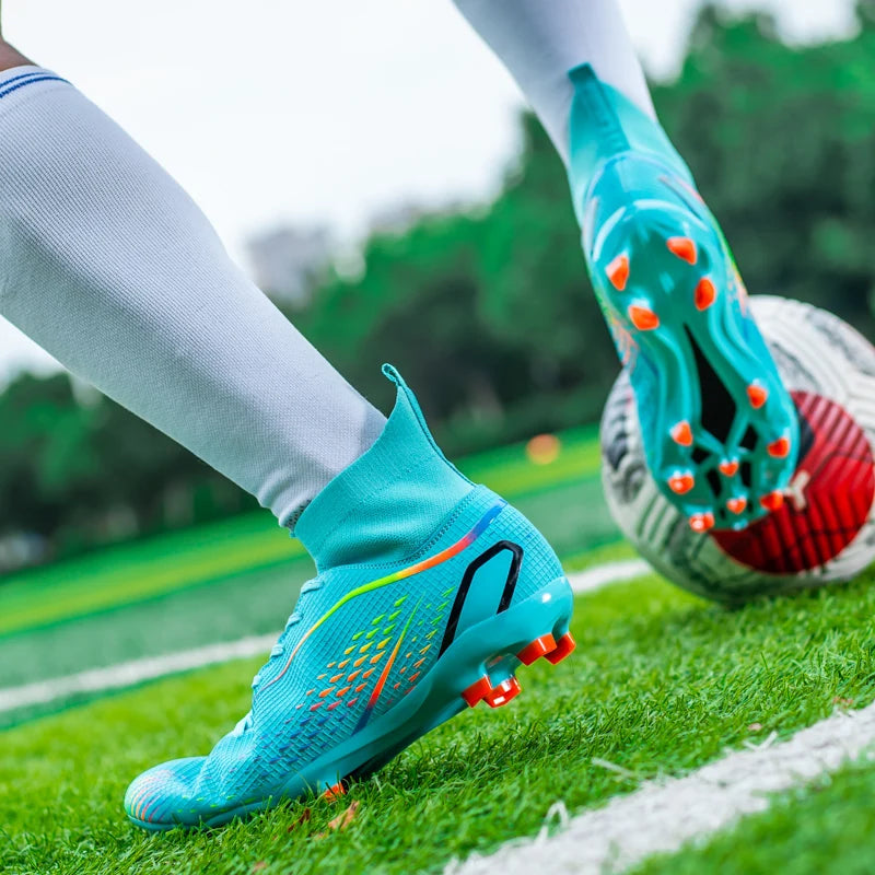 description_selected19