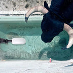 description_selected8