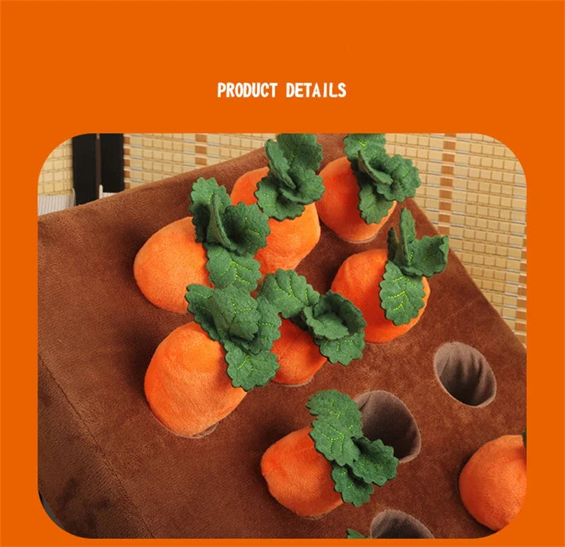 description_selected12