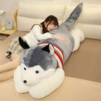 description_selected4