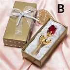 description_selected23