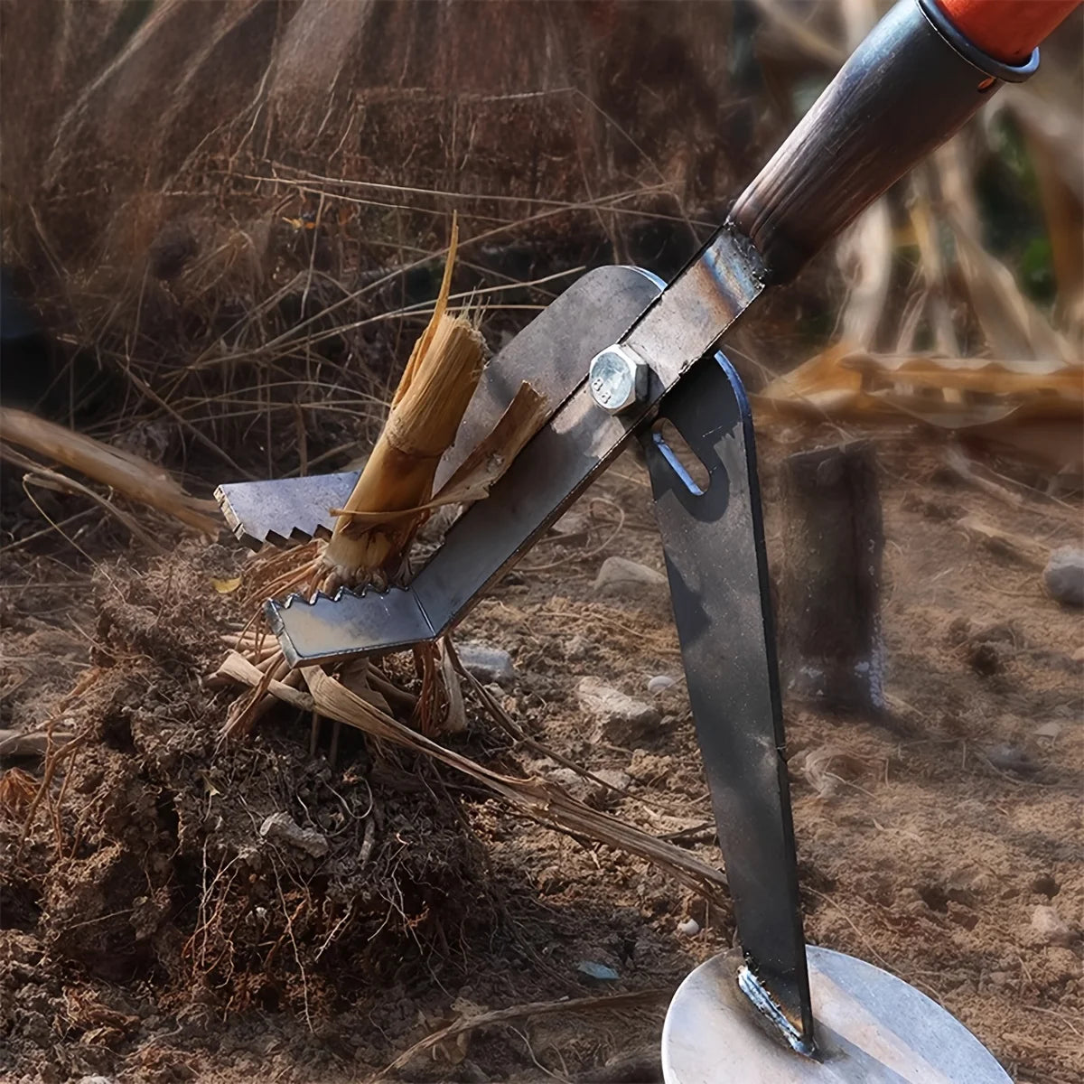 description_selected11