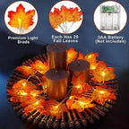 description_selected18