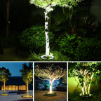 description_selected6