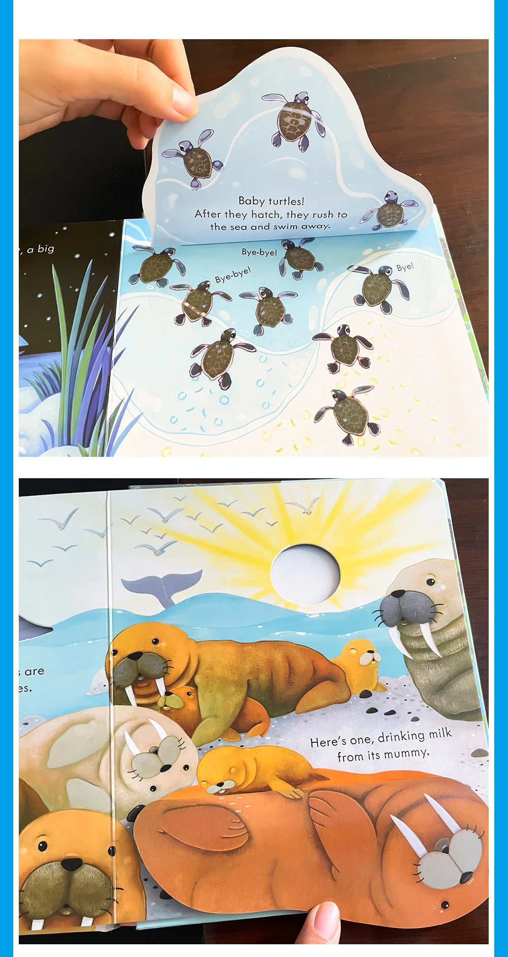 description_selected11