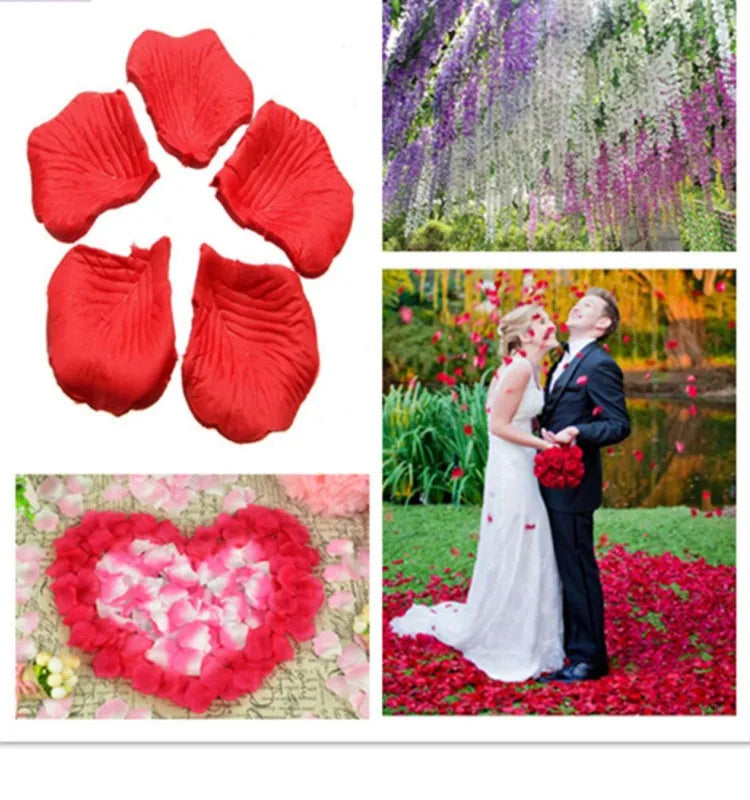 description_selected8