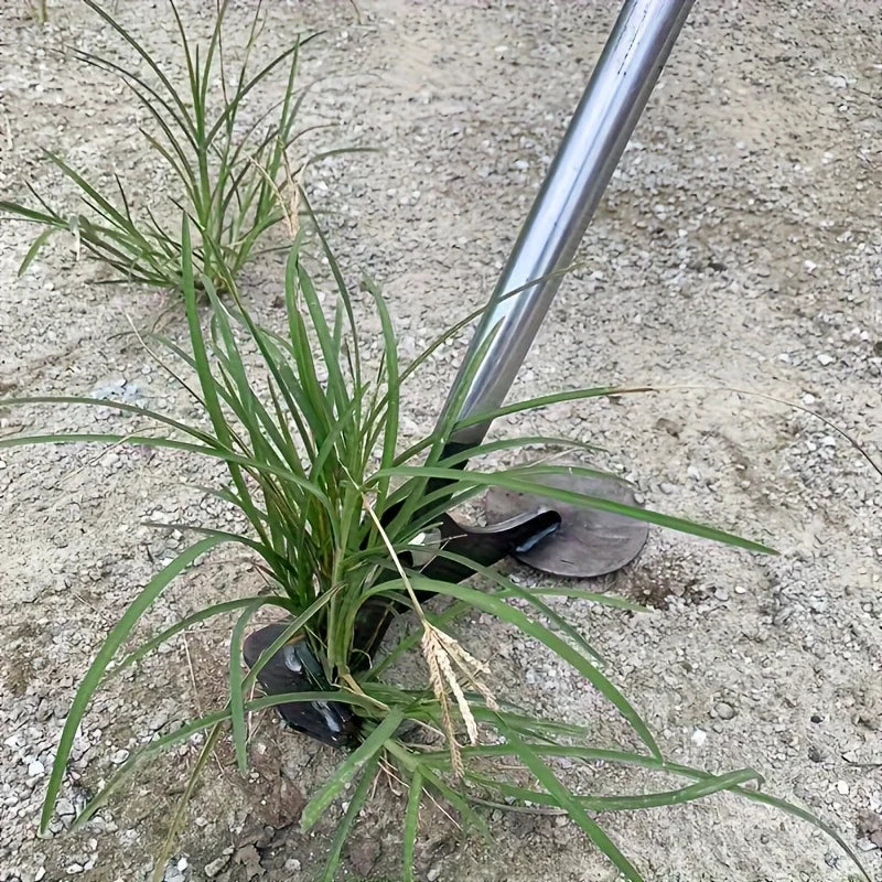 description_selected2