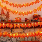 description_selected12