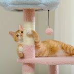 description_selected10