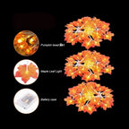 description_selected11
