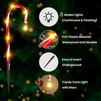 description_selected1