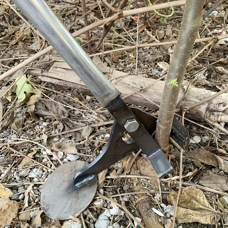 description_selected3