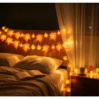 description_selected1