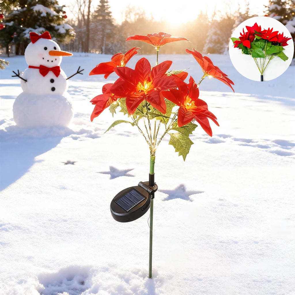 description_selected7