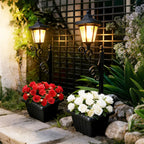 description_selected1