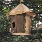 description_selected13