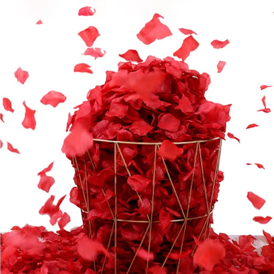 description_selected9