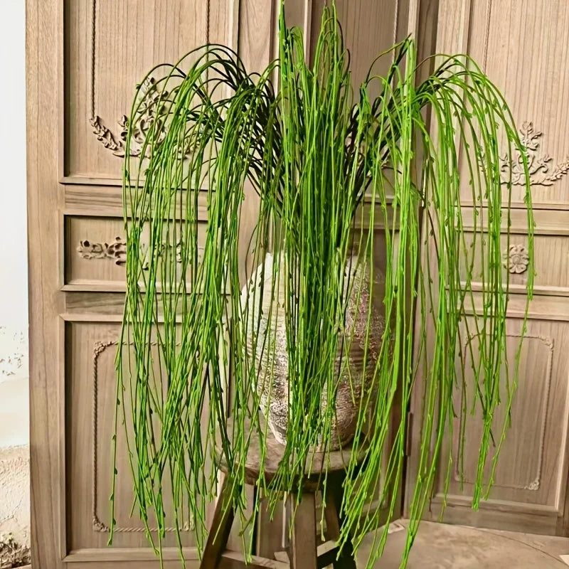 description_selected10