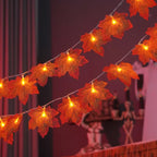 description_selected16