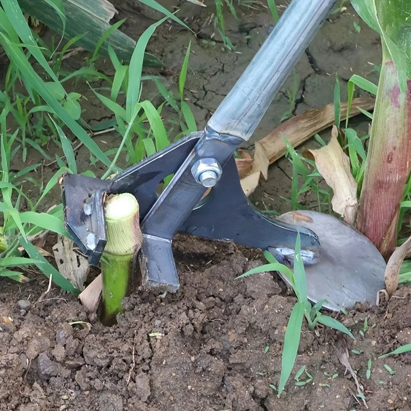 description_selected0