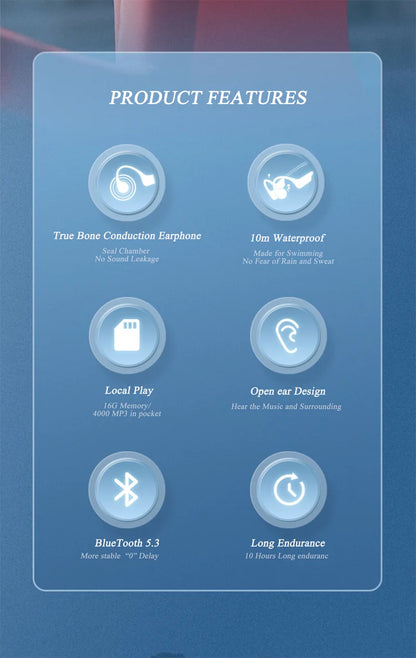 description_selected11